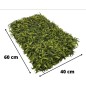 Gard artificial cu frunze verzi, panou 40x60 cm, decor sau mascare, suport grila PE