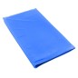 Saltea reglare temperatura caine/pisica, impermeabila, 65 x 50 cm, albastra Saltea reglare temperatura caine/pisica, impermeabila, 65 x 50 cm, albastra
