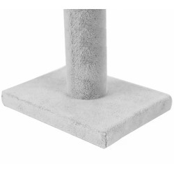 5cm