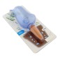 Adapator plante, irigator plastic, recipient 80 ml, 16,6 x 7cm, albastru