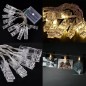 Ghirlanda decorativa interior, 10 LED-uri, 1,5V, 5,5 cm, gri