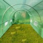 Sera solar tip tunel, 10x3x2 m, ferestre cu plasa anti-insecte, 1 usa rulanta, folie PE cu filtru UV4, verde Sera solar tip tunel, 10x3x2 m, ferestre cu plasa anti-insecte, 1 usa rulanta, folie PE cu filtru UV4, verde