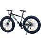 Bicicleta Fat Bike, roti 26 inch, cadru 17 inch, schimbator Shimano, 21 viteze, frane pe disc, negru/verde