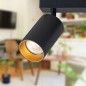 Aplica dubla pentru interior, Eris Gold, stil modern, abajur reglabil, IP20