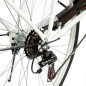 Bicicleta dama, roti 28 inch, 7 viteze Shimano, V-Brake, cos cumparaturi, portbagaj, RESIGILAT