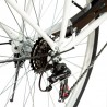 Bicicleta dama, roti 28 inch, 7 viteze Shimano, V-Brake, cos cumparaturi, portbagaj, alb turcoaz