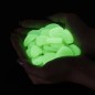 Pietricele decorative fosforescente, translucide care lumineaza verde, 2-3 cm