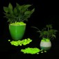 Pietricele fosforescente translucide care lumineaza verde, decorative, 3-5 cm