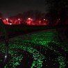 Pietricele fosforescente decorative  glow albe care lumineaza verde