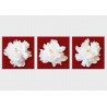 Set tablou fosforescent Bujori albi