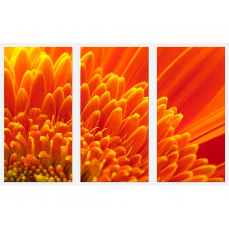 Set tablou 3 piese fosforescent Crizantema portocalie