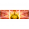 Set tablou fosforescent in detaliu 