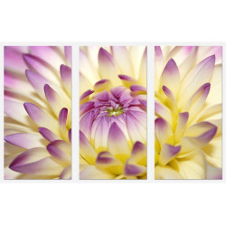 Set tablou 3 piese fosforescent Floarea se deschide 