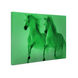 Tablou canvas fosforescent Cai albi, 60x40 cm