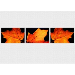 Set tablou fosforescent Frunze de toamna 