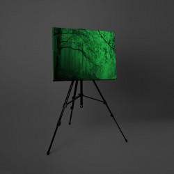 Tablou canvas fosforescent Misterul Padurii