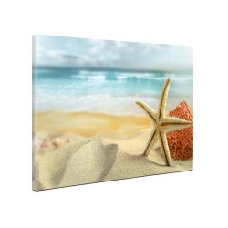 Tablou canvas fosforescent Steluta de mare, 60x40 cm