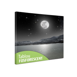 Tablou canvas fosforescent Luna