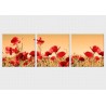 Set tablou 3 piese fosforescent Maci salbatici