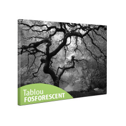 Tablou canvas fosforescent Artar alb-negru