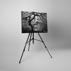 Tablou canvas fosforescent Artar alb-negru