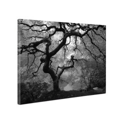 Tablou canvas fosforescent Artar alb-negru
