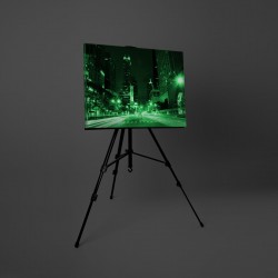 Tablou canvas fosforescent Night in Chicago, 60x40 cm