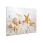 Tablou canvas fosforescent Scoici pe plaja, 60x40 cm