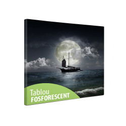 Tablou canvas fosforescent Barca pe mare, 30x30 cm