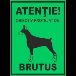 Semn fosforescent Obiectiv Protejat de Brutus, A4