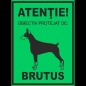 Semn fosforescent Obiectiv Protejat de Brutus, A4 Semn fosforescent Obiectiv Protejat de Brutus, A4
