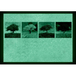 Set tablou fosforescent Patru Anotimpuri      