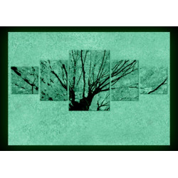 Set tablou fosforescent Sub stejar 