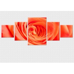 Set tablou fosforescent Trandafir culoarea piersicii 