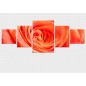 Set tablou fosforescent Trandafir culoarea piersicii 