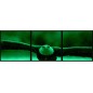 Set tablou fosforescent Vultur 