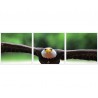 Set tablou fosforescent Vultur 