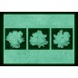 Set tablou fosforescent Bujori albi Set tablou fosforescent Bujori albi