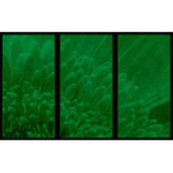 Set tablou 3 piese fosforescent Crizantema portocalie