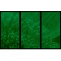 Set tablou 3 piese fosforescent Crizantema portocalie