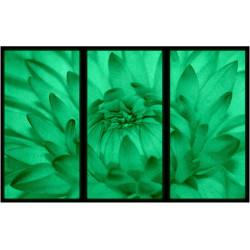 Set tablou 3 piese fosforescent Floarea se deschide 