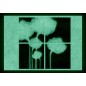 Set tablou fosforescent Flori de ciocolata Set tablou fosforescent Flori de ciocolata