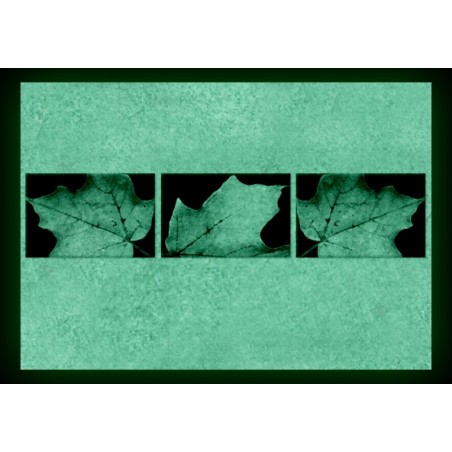 Set tablou fosforescent Frunze de toamna 