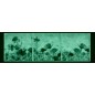Set tablou 3 piese fosforescent Maci salbatici Set tablou 3 piese fosforescent Maci salbatici