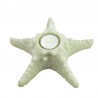 Suport lumanare fosforescent, stea de mare, 18 cm