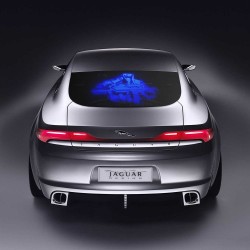 Sticker transparent  cu imagine uv invizibila fluorescenta