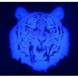 Sticker transparent  cu imagine uv invizibila fluorescenta