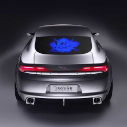 Sticker transparent  cu imagine uv invizibila fluorescenta