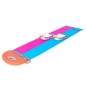 Tobogan dublu gonflabil pentru copii, 2 saltele lama, lungime 4,88 m, multicolor Tobogan dublu gonflabil pentru copii, 2 saltele lama, lungime 4,88 m, multicolor