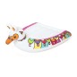 Tobogan dublu gonflabil pentru copii, 2 saltele lama, lungime 4,88 m, multicolor Tobogan dublu gonflabil pentru copii, 2 saltele lama, lungime 4,88 m, multicolor